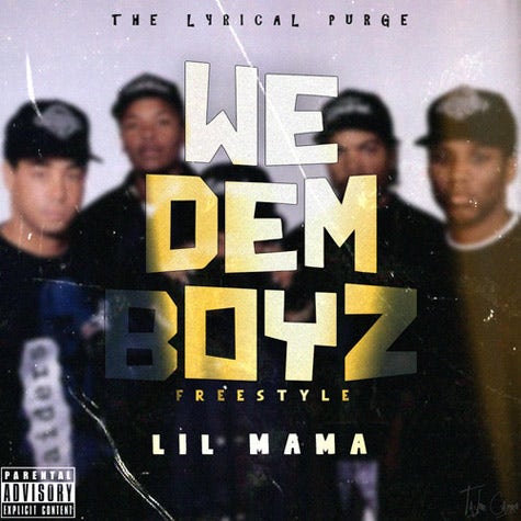 We Dem Boyz (Freestyle)