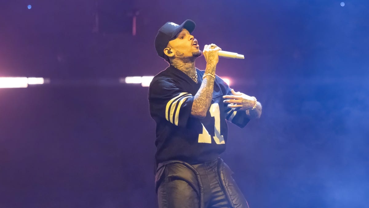Chris Brown Has Harness Malfunction At New Jersey Concert