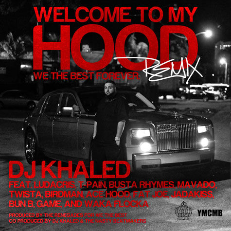 Welcome to My Hood (Remix)