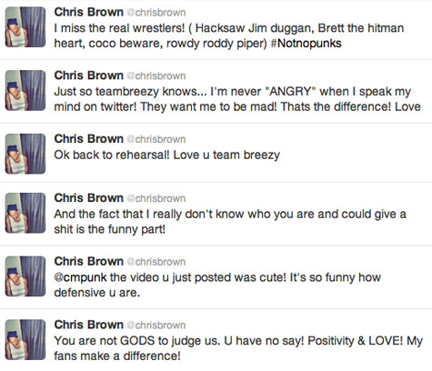 Chris Brown vs. CM Punk