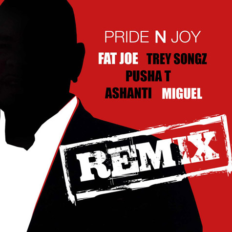 Pride N Joy (Remix)
