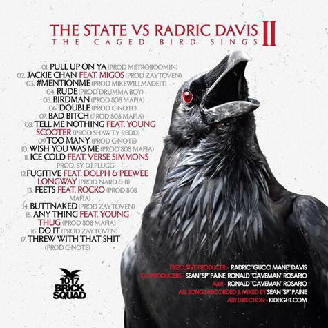 The State vs. Radric Davis: The Caged Bird Sings