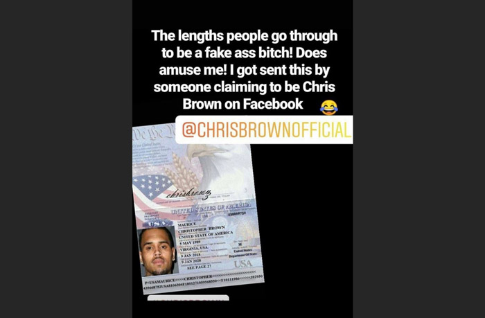 Chris Brown Passport